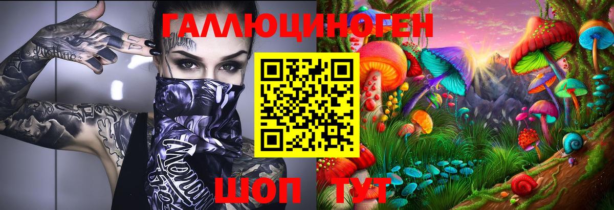 Псилоцибиновые грибы Cubensis Хабаровск