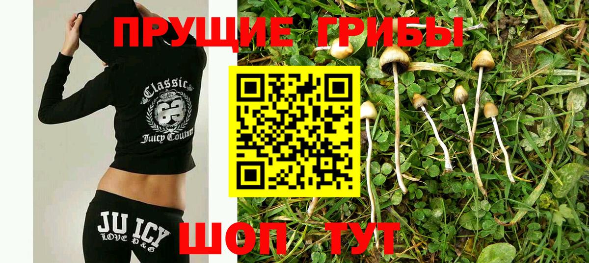 Псилоцибиновые грибы Psilocybine cubensis  Вход с VPN  Псилоцибиновые грибы прущие грибы  Хабаровск 